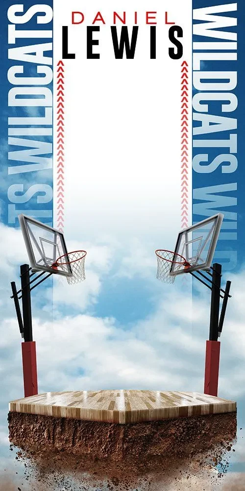 DANG Basketball Goals
